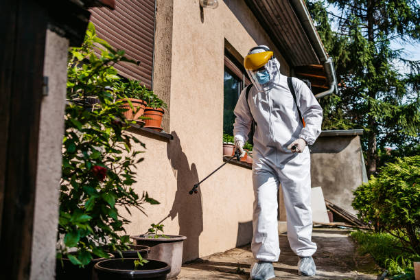 Wasp Removal Services in Craig Beach, OH