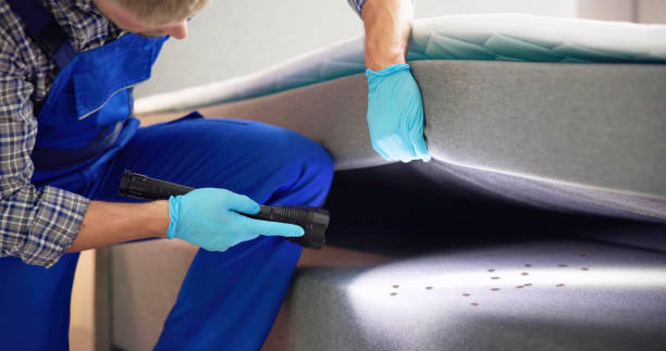 Best Bed Bug Extermination  in Craig Beach, OH